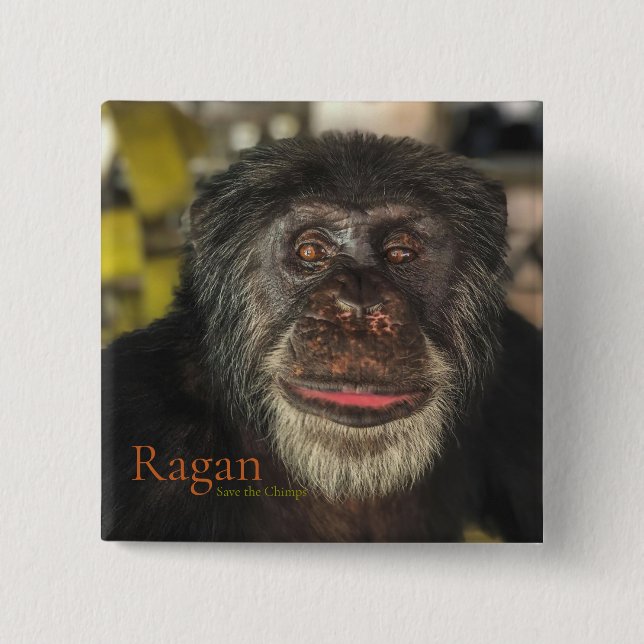 Ragan, Save the Chimps 2 Inch Square Button (Front)