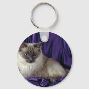 Ragdoll, blue point keychain