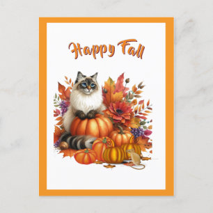  Ragdoll Cat and Pumpkins  Happy Fall  Holiday Postcard