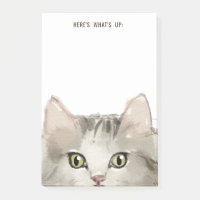 Ragdoll Cat | Any Text | Here's What's Up 