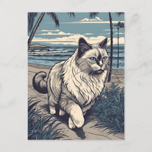 Ragdoll-Cat at a tropical beach during sunset Postcard