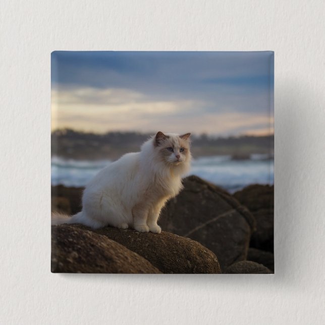 Ragdoll Cat At The Beach 2 Inch Square Button (Front)