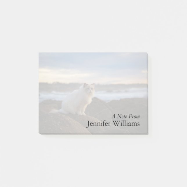 Ragdoll Cat At The Beach Post-it Notes (Front)