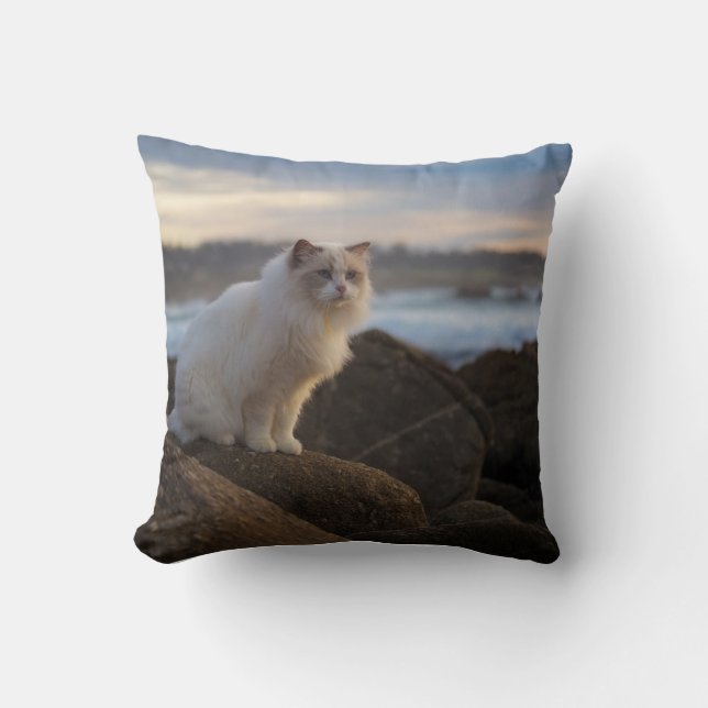 Ragdoll Cat At The Beach Throw Pillow (Front)