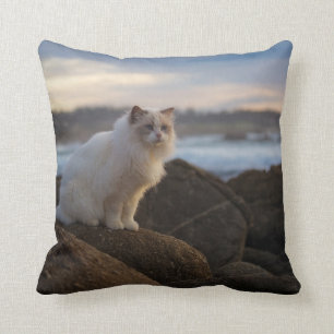Ragdoll Cat At The Beach Throw Pillow