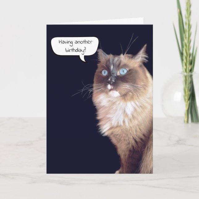 Ragdoll Cat Birthday Humour  Card (Front)