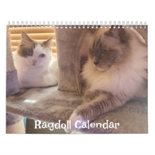 Ragdoll Cat Calendar