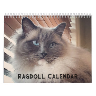 Ragdoll Cat Calendar