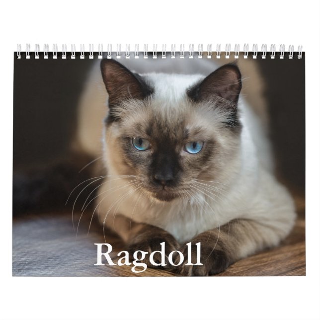 Ragdoll Cat Calendar (Cover)