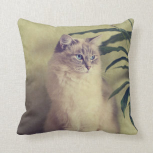 Ragdoll Cat Cushion