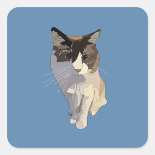 Ragdoll cat, Dusty Blue Square Sticker