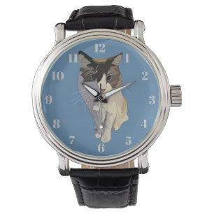 Ragdoll cat, Dusty Blue Watch