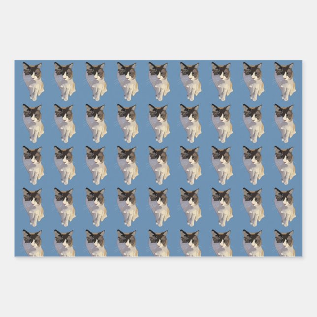 Ragdoll cat, Dusty Blue Wrapping Paper Sheet (Front)