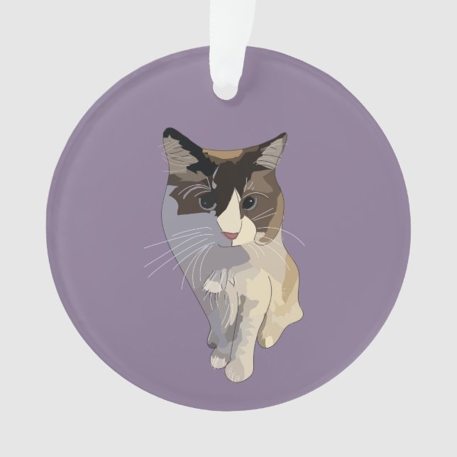 Ragdoll cat, Dusty Purple (devant)