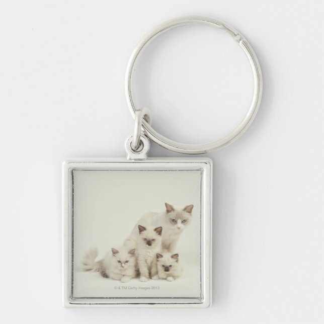 Ragdoll cat female with kittens keychain (Front)