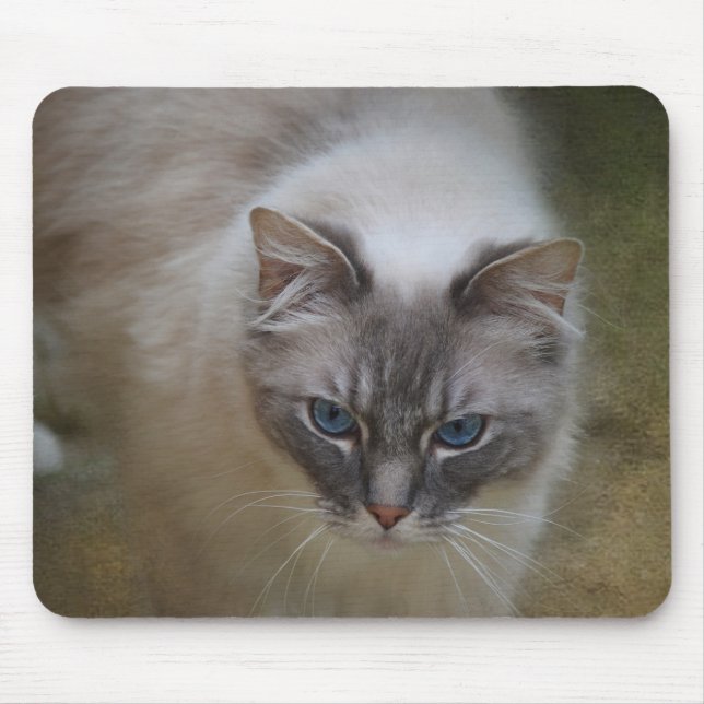Ragdoll Cat Mousemat Mouse Pad (Front)