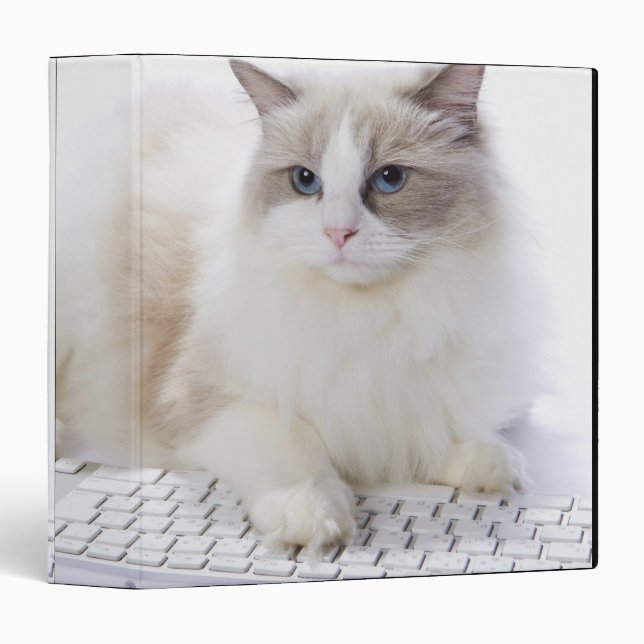 Ragdoll cat on computer keyboard binder (Front/Spine)