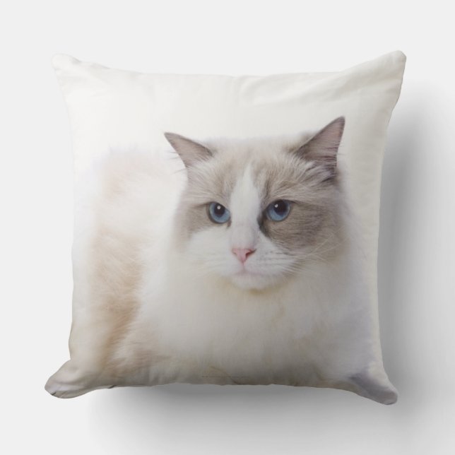 Ragdoll cat on computer keyboard throw pillow (Front)