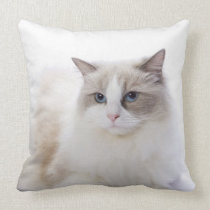 Ragdoll cat on computer keyboard throw pillow
