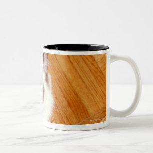 Ragdoll cat on floor, elevated view Two-Tone coffee mug