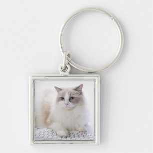 Ragdoll Cat on Keyboard Keychain
