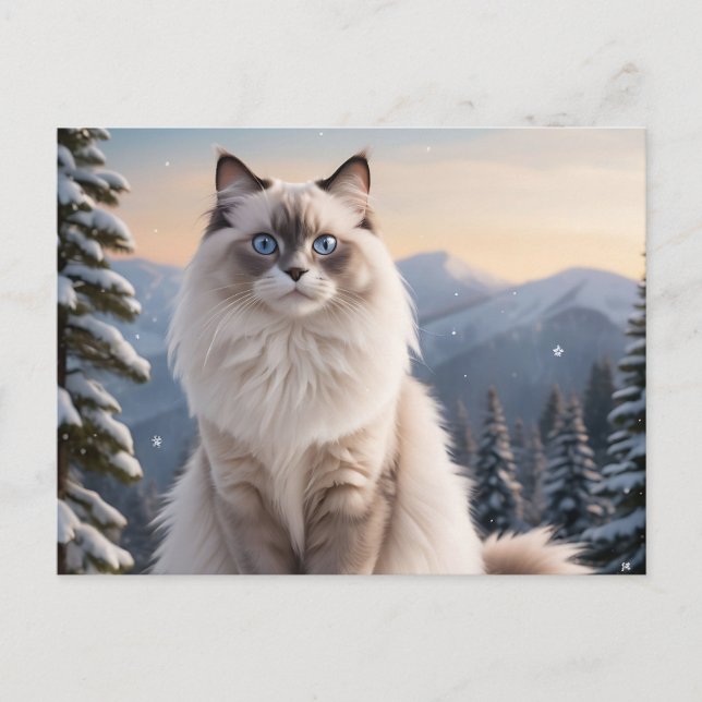 Ragdoll Cat on Snowy Mountain with Serene Winter Postcard (Front)