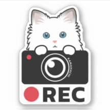Ragdoll Cat Recording Vinyl Sticker camera warning
