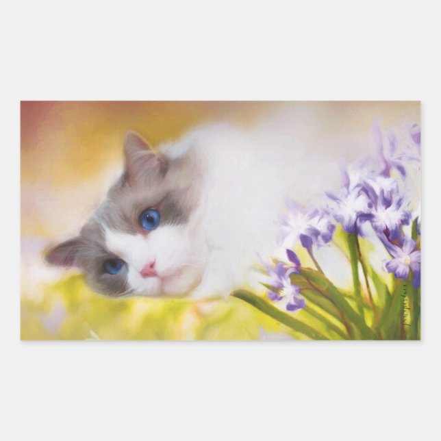 Ragdoll Cat Stickers (Front)