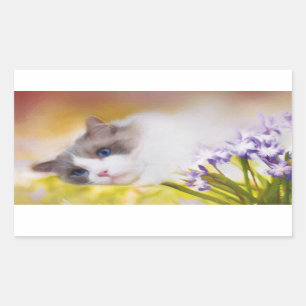 Ragdoll Cat Stickers