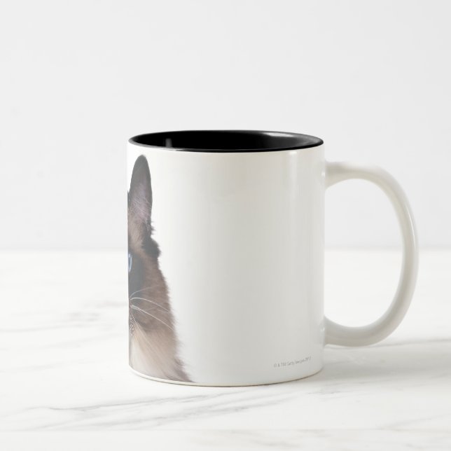Ragdoll Cat Two-Tone Coffee Mug (Right)