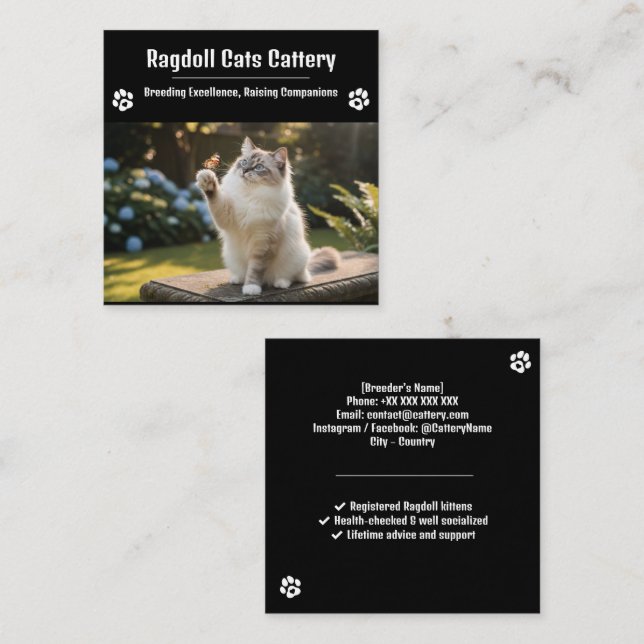 Ragdoll Cattery Business Card | Custom Cat Breeder (Front/Back)