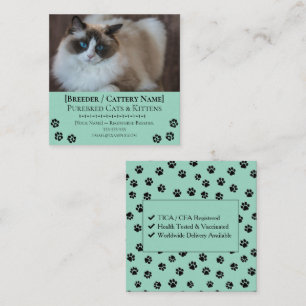 Ragdoll Cattery Customizable Cat Breeder Square Business Card