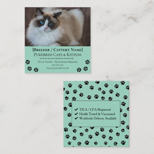 Ragdoll Cattery Customizable Cat Breeder  Square Business Card (Front/Back)
