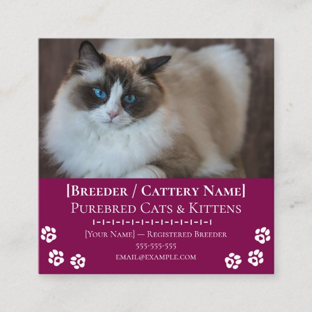 Ragdoll Cattery Customizable Cat Breeder  Square Business Card (Front)