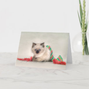 Ragdoll Christmas Card