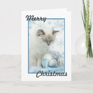 ragdoll christmas card