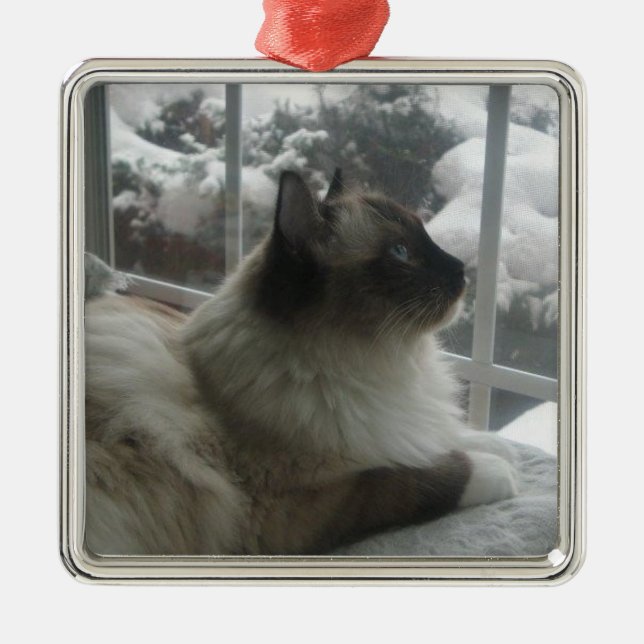 Ragdoll Himalayan Cat Christmas Snow Kitty Ornamen Metal Ornament (Front)