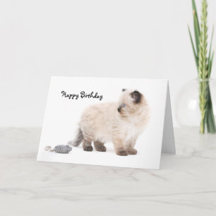 Ragdoll kitten Birthday Card