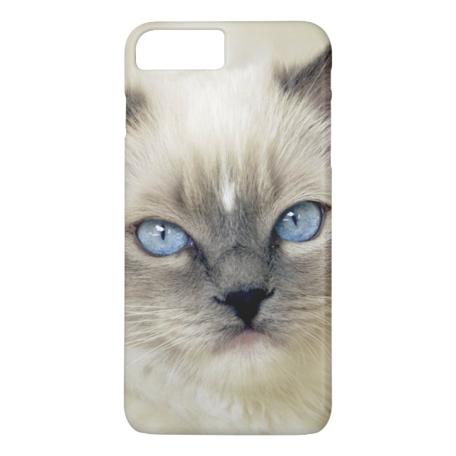 Ragdoll kitten Case-Mate iPhone case (Back)
