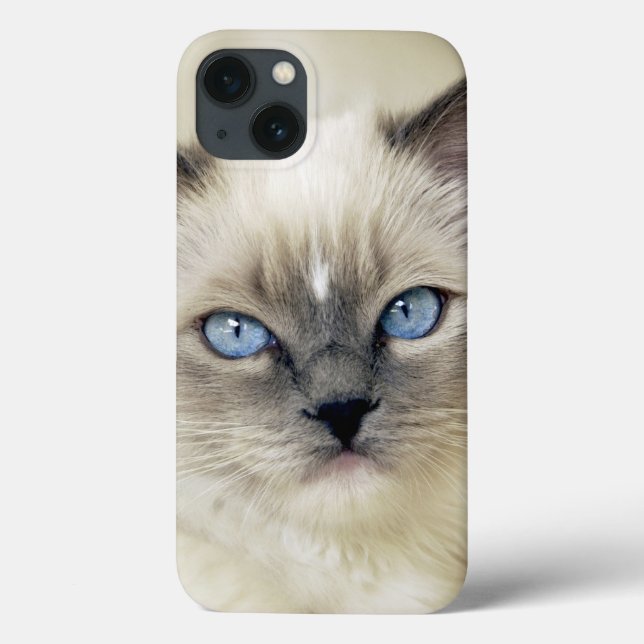 Ragdoll kitten Case-Mate iPhone case (Back)