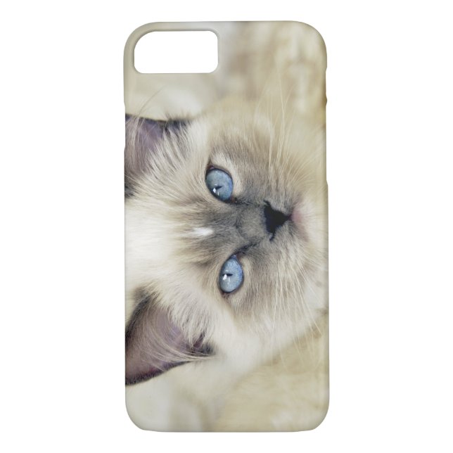 Ragdoll kitten Case-Mate iPhone case (Back)