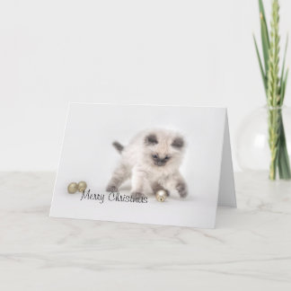 Ragdoll kitten Christmas card