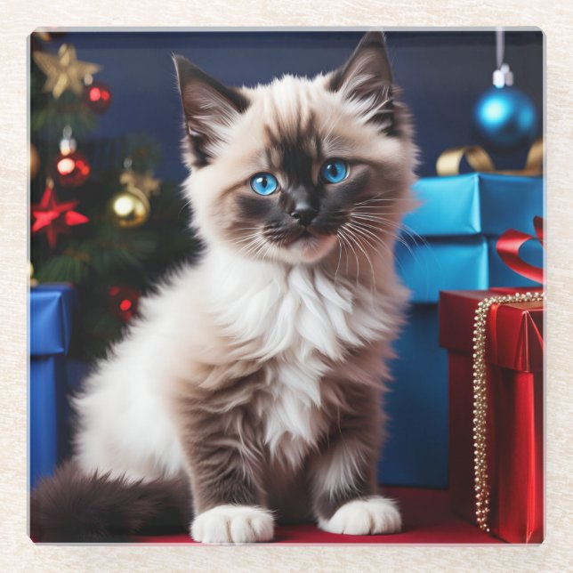 Ragdoll Kitten Christmas Present  Glass Coaster (Front)