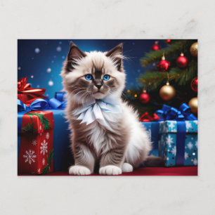 Ragdoll Kitten Christmas Present Postcard