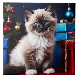 Ragdoll Kitten Christmas Present  Tile
