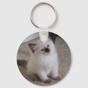 Ragdoll Kitten Keychain