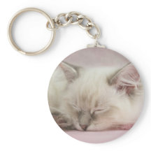 ragdoll kitten keychain