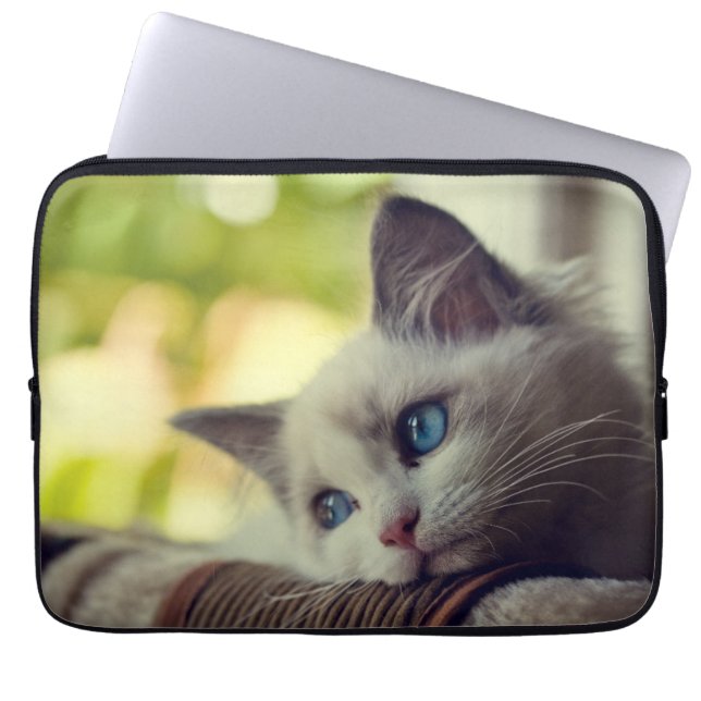 Ragdoll Kitten Laptop Sleeve (Front)