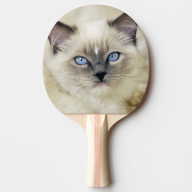 Ragdoll kitten ping pong paddle (Front)