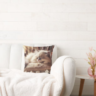 Ragdoll Kitten Sleeping On a Pillow